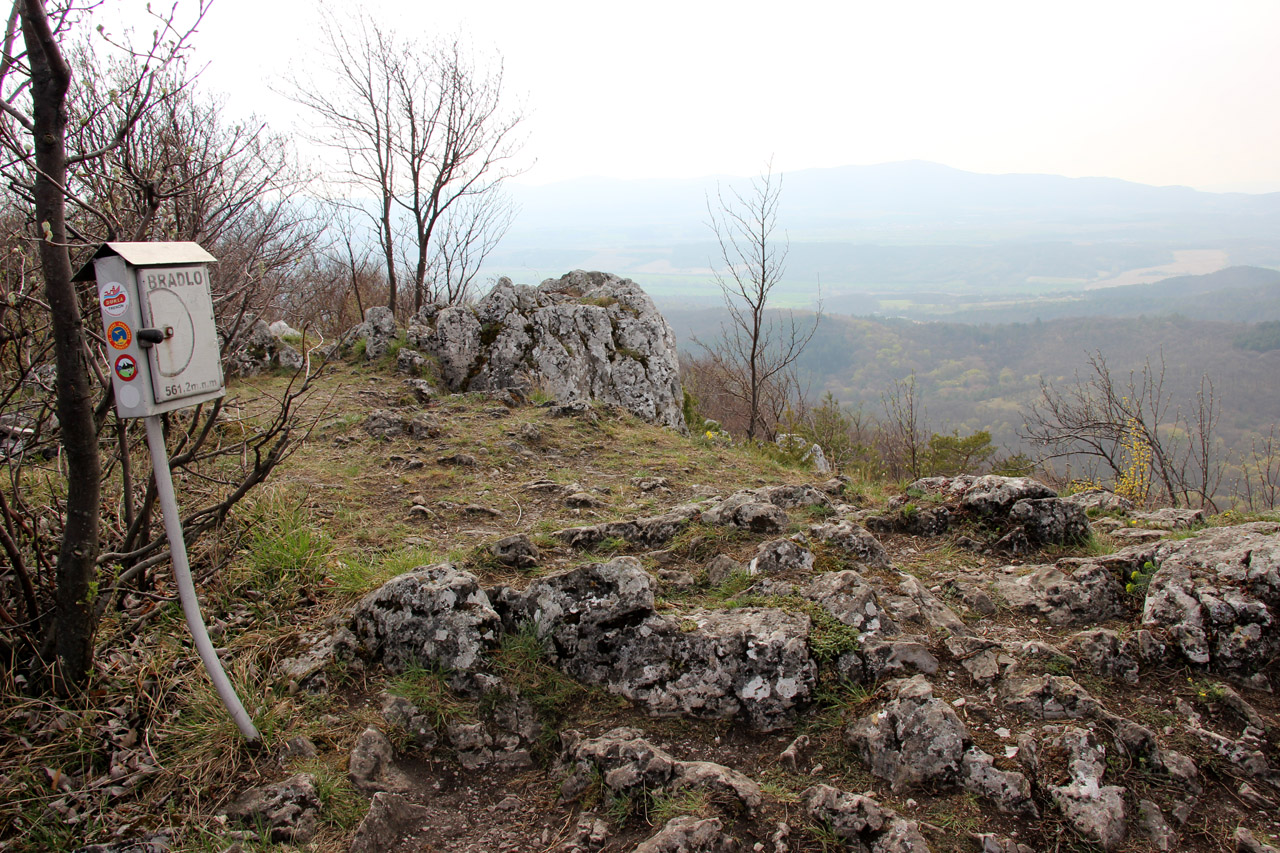 Rezervácia Bradlo, Strážovské vrchy