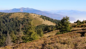 Krivánska Malá Fatra a hrebeň smerom na Úplaz