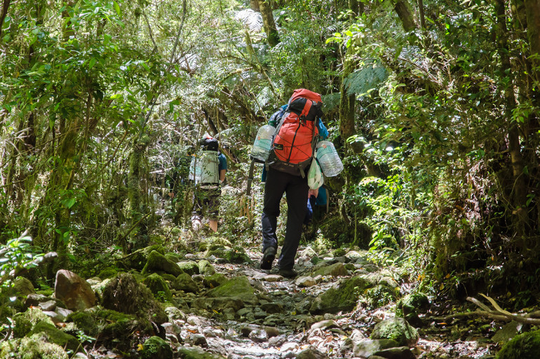 Prechod džunglou v Cochamo cestou do bivaku