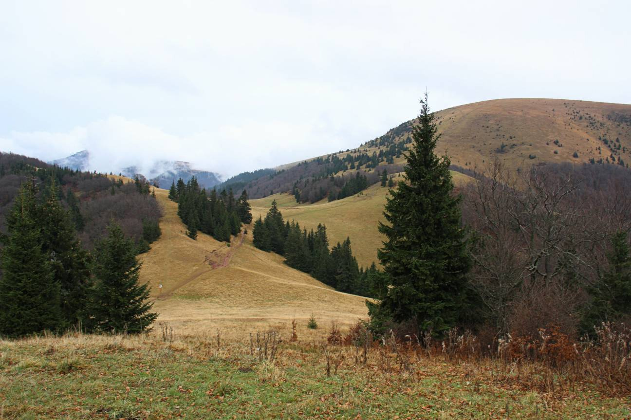 FatraRan 2014:Výhľad z cieľa - sedlo medzi Borišovom a Ploskou 
